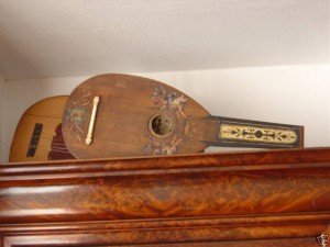 Lute guitar