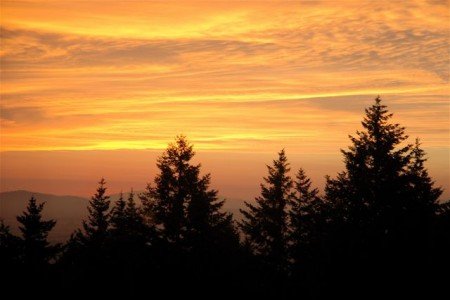 Sunset Harp Guitar Retreat Sunset Harp Guitar Retreat